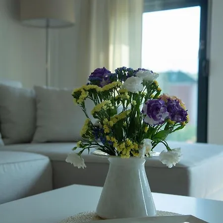 New Aesthetic Haven Hedonica 6 In Appartement *