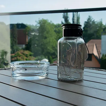 New Aesthetic Haven Hedonica 6 In