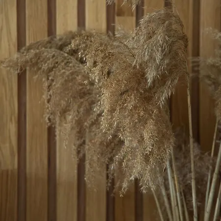 New Aesthetic Haven Hedonica 6 In Appartement Vrdnik