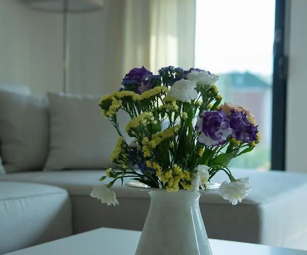 New Aesthetic Haven Hedonica 6 In アパート *