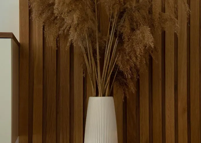 New Aesthetic Haven Hedonica 6 In ヴルドニーク