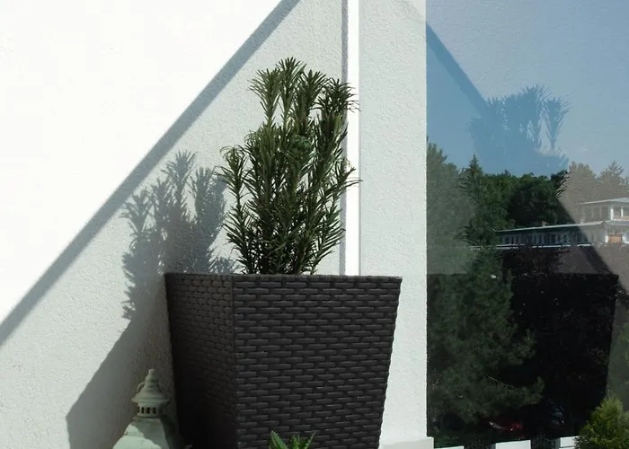 New Aesthetic Haven Hedonica 6 In アパート