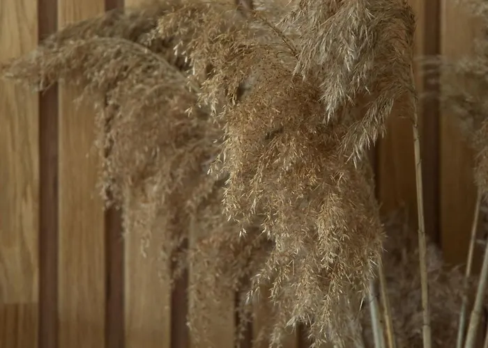 New Aesthetic Haven Hedonica 6 In アパート ヴルドニーク